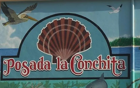 Inn Posada La Conchita Punta Allen