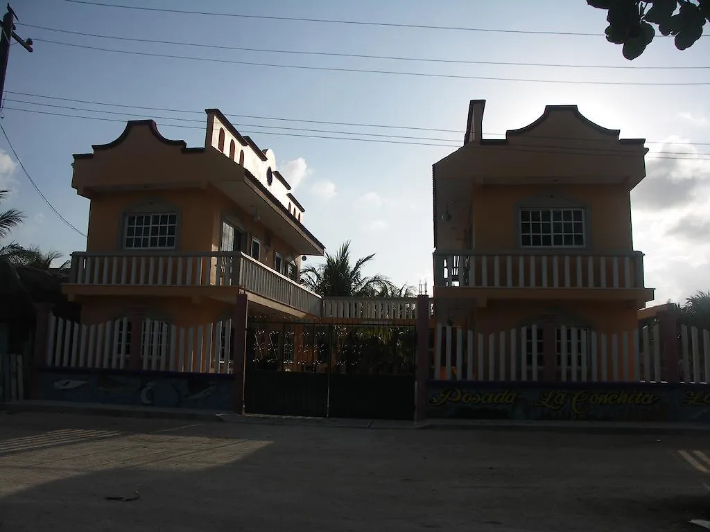 Posada La Conchita Punta Allen Värdshus